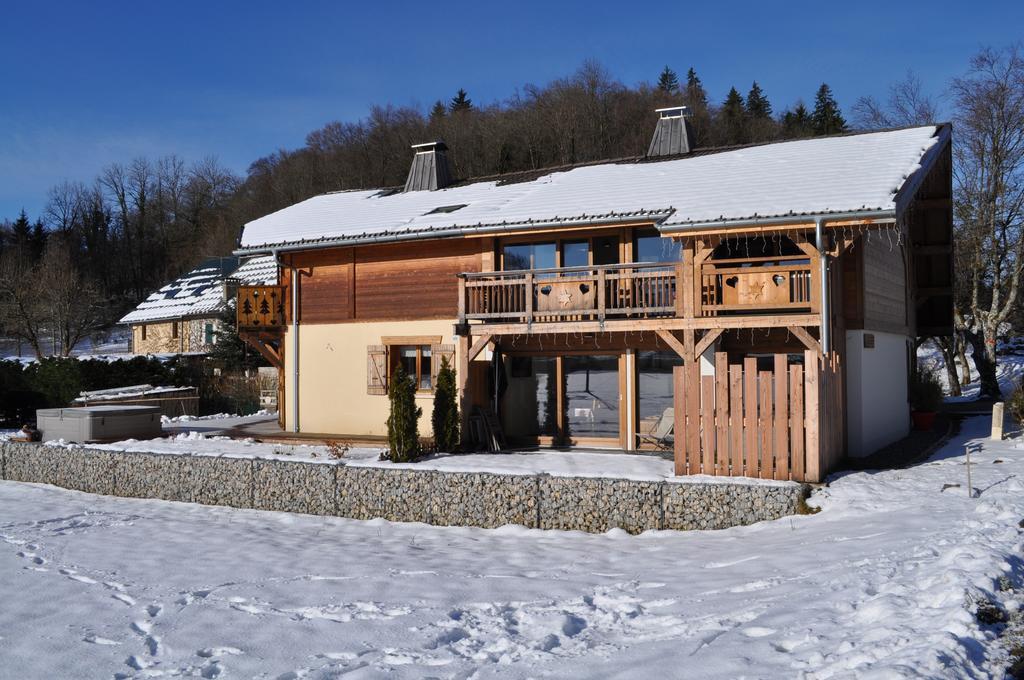 Le Chalet Du Pic SPA privé&Fitness Taninges Extérieur photo